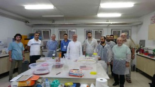Üniversiteli sülükler geleneksel ve tamamlayıcı tıbbın hizmetinde