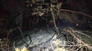 Uşakta çıkan orman yangını kontrol altına alındı