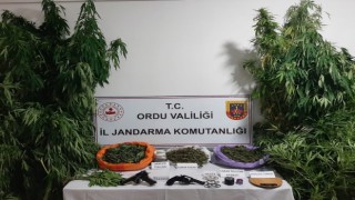 Uyuşturucu operasyonunda 2 kişi tutuklandı