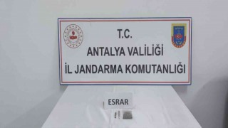 Uyuşturucu sakız kutusundan çıktı