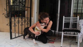 Uyutulmak istenen köpeğe kıyamadı, komşusuyla karakolluk oldu