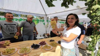 Üzüme dair her şey bu şenlikte