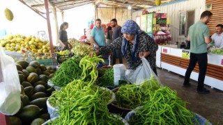 Vanda meyve ve sebze hasadı üreticinin yüzünü güldürdü