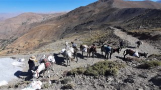 VASKİ ekipleri katırlarla çıktığı 3 bin 500 metrede çalışma yaptı