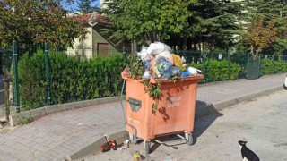 Vatandaşın kırık çöp konteyneri ile imtihanı