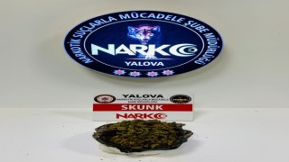 Yalovada 2 günde 11 zehir taciri tutuklandı