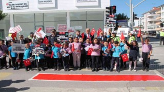 Yalovada yaya geçitleri farkındalık için kırmızıya boyandı