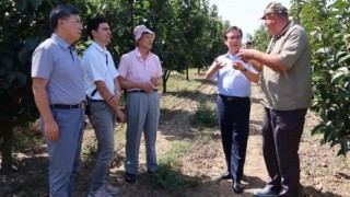 Yalovaya gelen Güney Kore heyetinden araştırma enstitüsünde inceleme