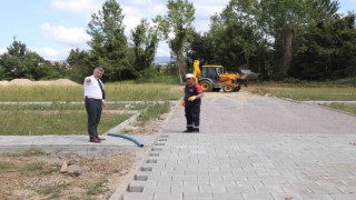 Yeni mezarlık alanı ağaçlandırılacak