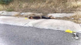 Yol kenarında kadın cesedi bulundu