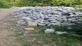 Yollarının yapılması için kendi imkanlarıyla parke taşı alan köylüler yardım istedi