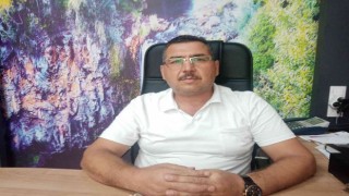 Zeytinde fiyatlar düştü, yağında ikiye katlandı