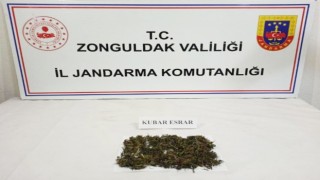 Zonguldak Jandarmadan uyuşturucu operasyonu