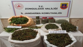 Zonguldakta uyuşturucu operasyonunda 1 tutuklama