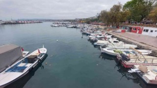 10 günlük esaret bitti: Şimdi de yunuslarla başları belada