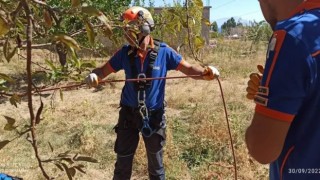 20 metrelik kuyuya düşen kediyi AFAD ekibi kurtardı