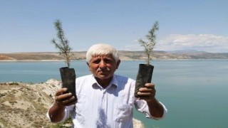 38 yılda 30 bin ağaç dikmişti, Merhamet ve emek ödülüne layık görüldü