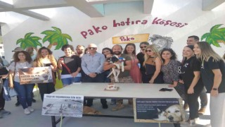 4 Ekim Hayvanları Koruma Günü Pakoda kutlandı