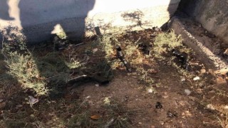 Adanada polis baskınında silahları banyonun penceresinden attılar
