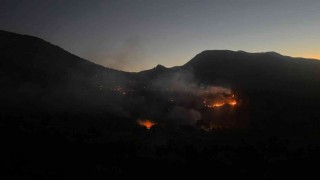 Adıyamandaki orman yangınına havadan ve karadan müdahale ediliyor