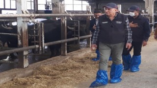Afyonkarahisardaki mandacılık işletmeleri incelendi