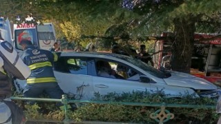 Ağaca çarpan otomobilin sürücüsü yaralandı