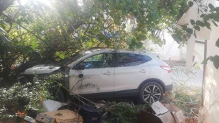 Ağaca çarpan otomobilin sürücüsü yaralandı