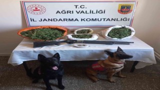 Ağrıda 15 kilo esrar ele geçirildi