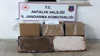 Alanyada bir yolcu otobüsünde 36 bin adet hazır makaron ele geçirildi