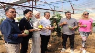Alanyada tropikal hasat şöleni