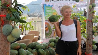 Alanyada üretilen 32 tropikal meyve festivalde buluştu