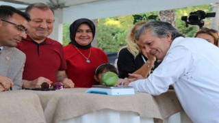 Alanyanın en ağır avokadosu 610 gramla ödülü aldı