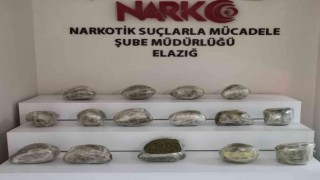 Alex kokladı, tırın dorsesinden 17 kilo 650 gram uyuşturucu çıktı