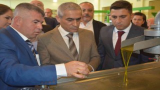 Aliağa, sanayinin yanında tarımda da ülke ekonomisine katkı sağlıyor