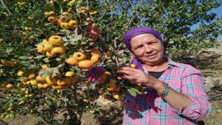 Alıç emekli çiftin yüzünü güldürdü