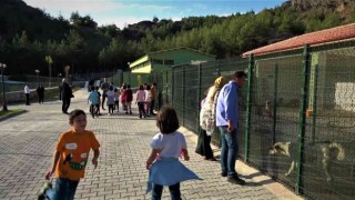Amasya Belediyesinden sokak hayvanları için yerden ısıtmalı otel