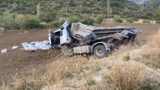Amasyada tahıl yüklü tır devrildi