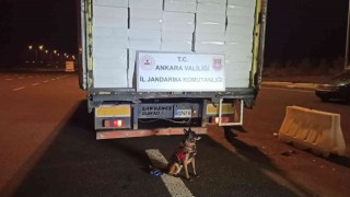 Ankarada 21 milyonu aşkın bandrolsüz makaron ele geçirildi