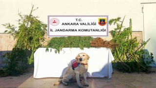 Ankarada uyuşturucu operasyonları: 6 gözaltı
