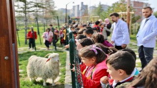 Ankaralı öğrenciler Endemik Vadide buluştu