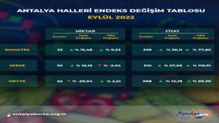 Antalya Ticaret Borsası eylül hal endeksini açıkladı