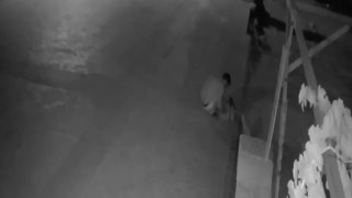 Antalyada kedi hırsızları mahalleliyi bezdirdi
