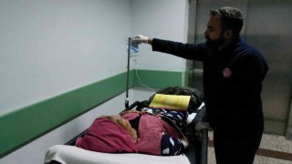 Araziden topladıkları mantarı yiyen 2 kadın zehirlendi