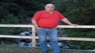 Ordu'da Arkadaşının yuvarladığı ağaç başına isabet etti, hayatını kaybetti