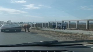 Atı otomobile bağlayıp hızla yoluna devam etti