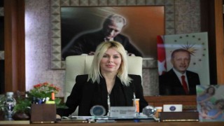 AÜ Rektörü Özkan, Bilişimin potansiyeli turizmden yüksek