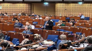 Avrupa Konseyine çevre ve gıda güvenliği çağrısı