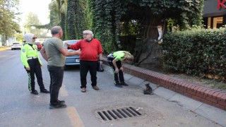 Ayağı kırılan kediyi, kadın trafikçilerin dikkati kurtardı