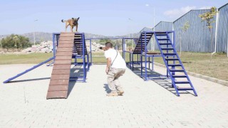 Aydın Büyükşehir Belediyesinin arama-kurtarma köpeği Zeyna mezun oldu