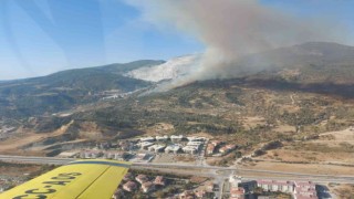 Aydında makilik ve zirai alanda yangın